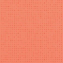 1027 KUBES CORAIL